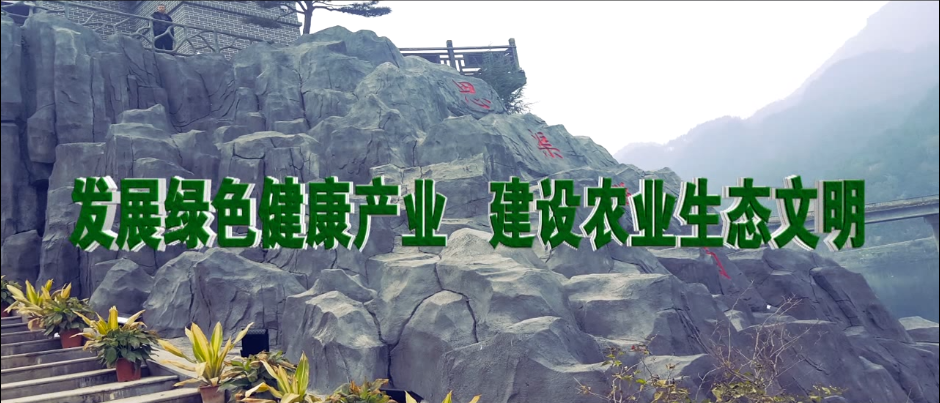&#33521;&#30343;&#20307;&#32946;&#40;&#20013;&#22269;&#41;&#20307;&#32946;&#23448;&#26041;&#32593;&#31449;